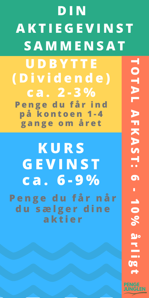 Aktie afkast